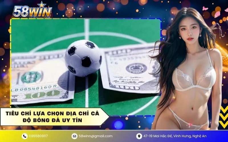 Tiêu chí lựa chọn địa chỉ cá độ bóng đá uy tín